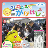 広報かけはし29号