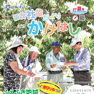 広報かけはし43号