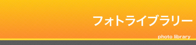 情報公開